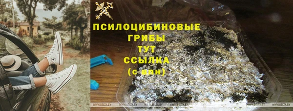 соль курить ск Бородино