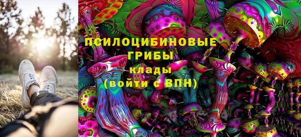 соль курить ск Бородино