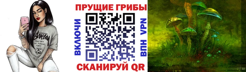 Псилоцибиновые грибы Magic Shrooms  blacksprut ТОР  Тула 